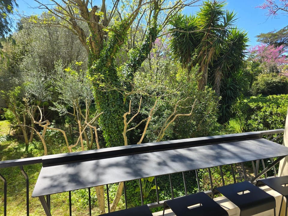 Cocon du Sud Apartment in Sanary-sur-Mer