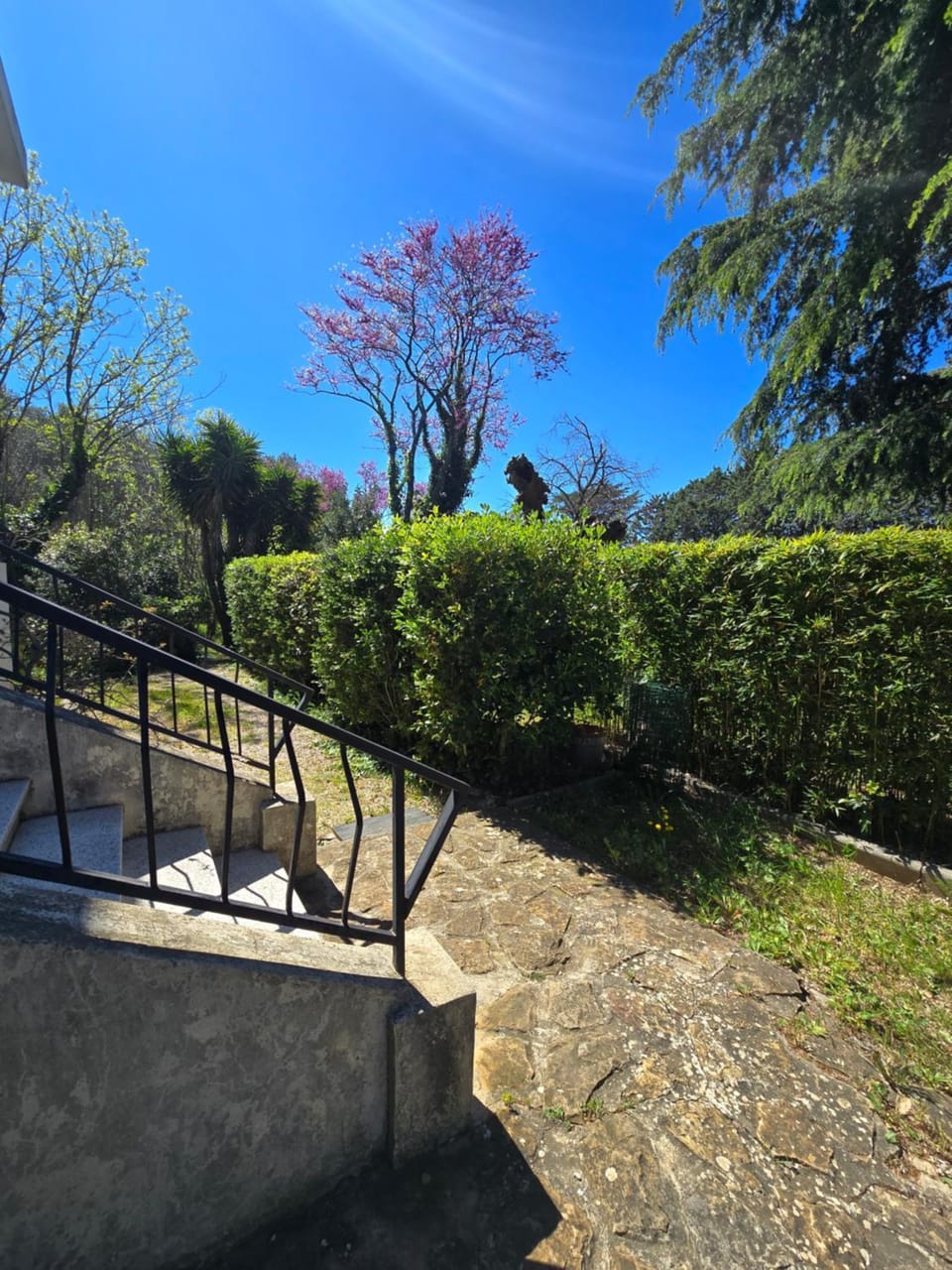 Cocon du Sud Apartment in Sanary-sur-Mer
