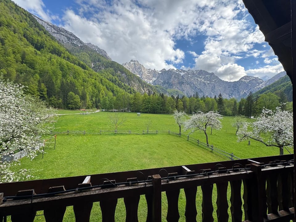 Natural landscape