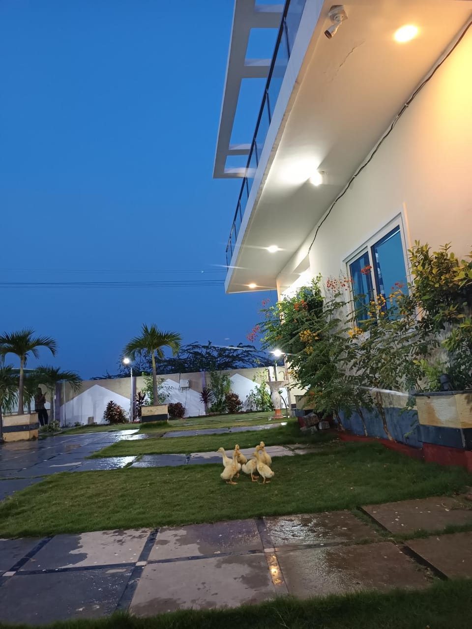 Property building