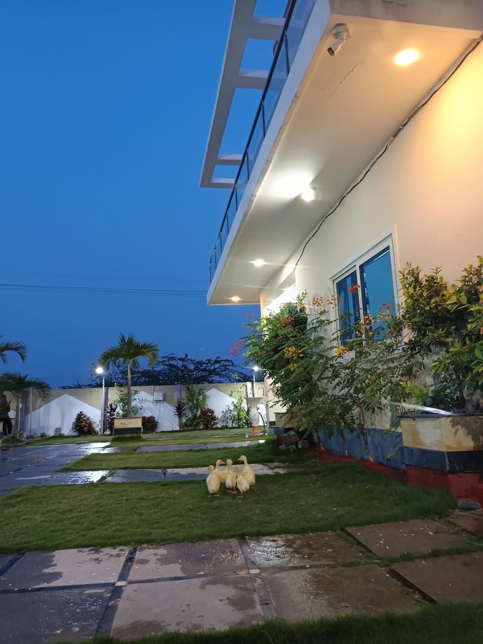 Garden