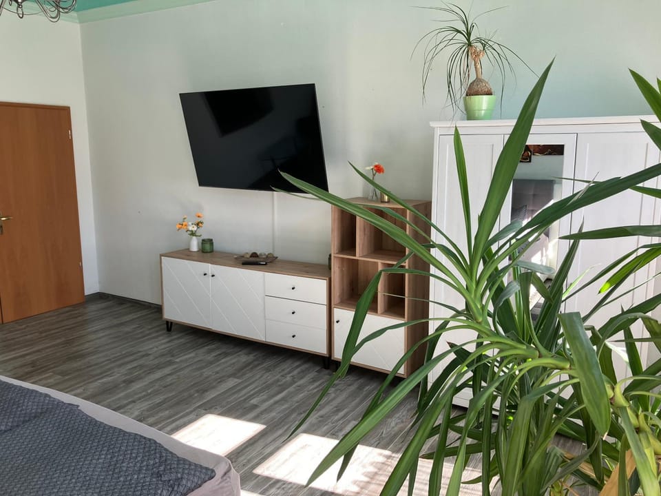 Gästewohnung zur alten Schule Apartment in Saxony