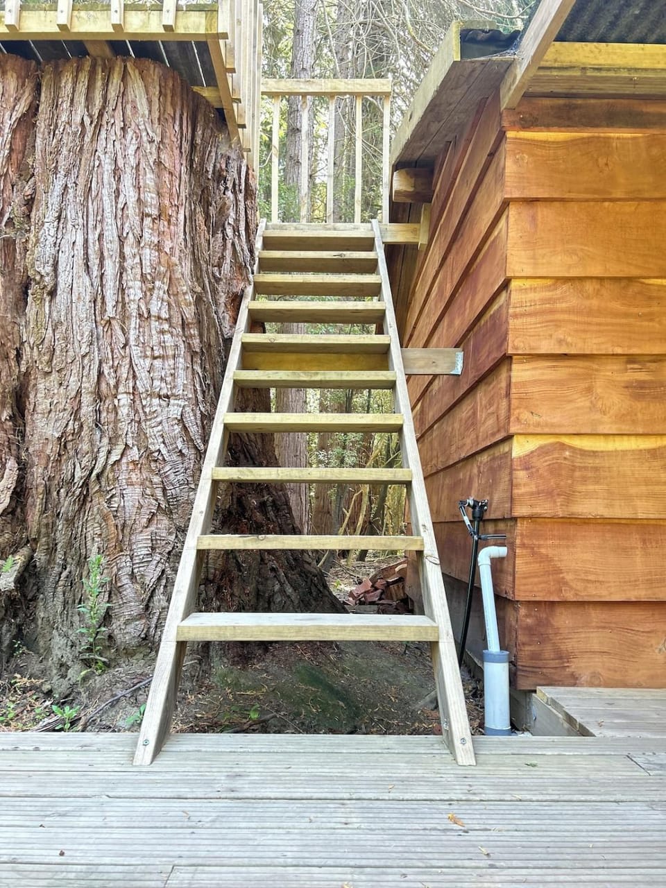 Secluded Redwood Cabin Cabin in Hawke's Bay