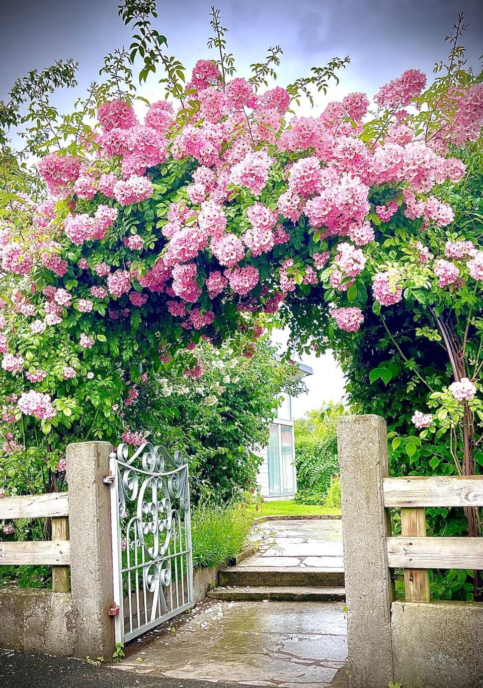 Facade/entrance, Garden