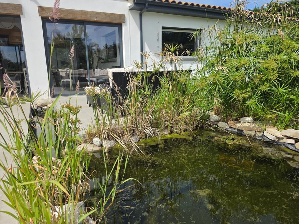 Garden, Garden view