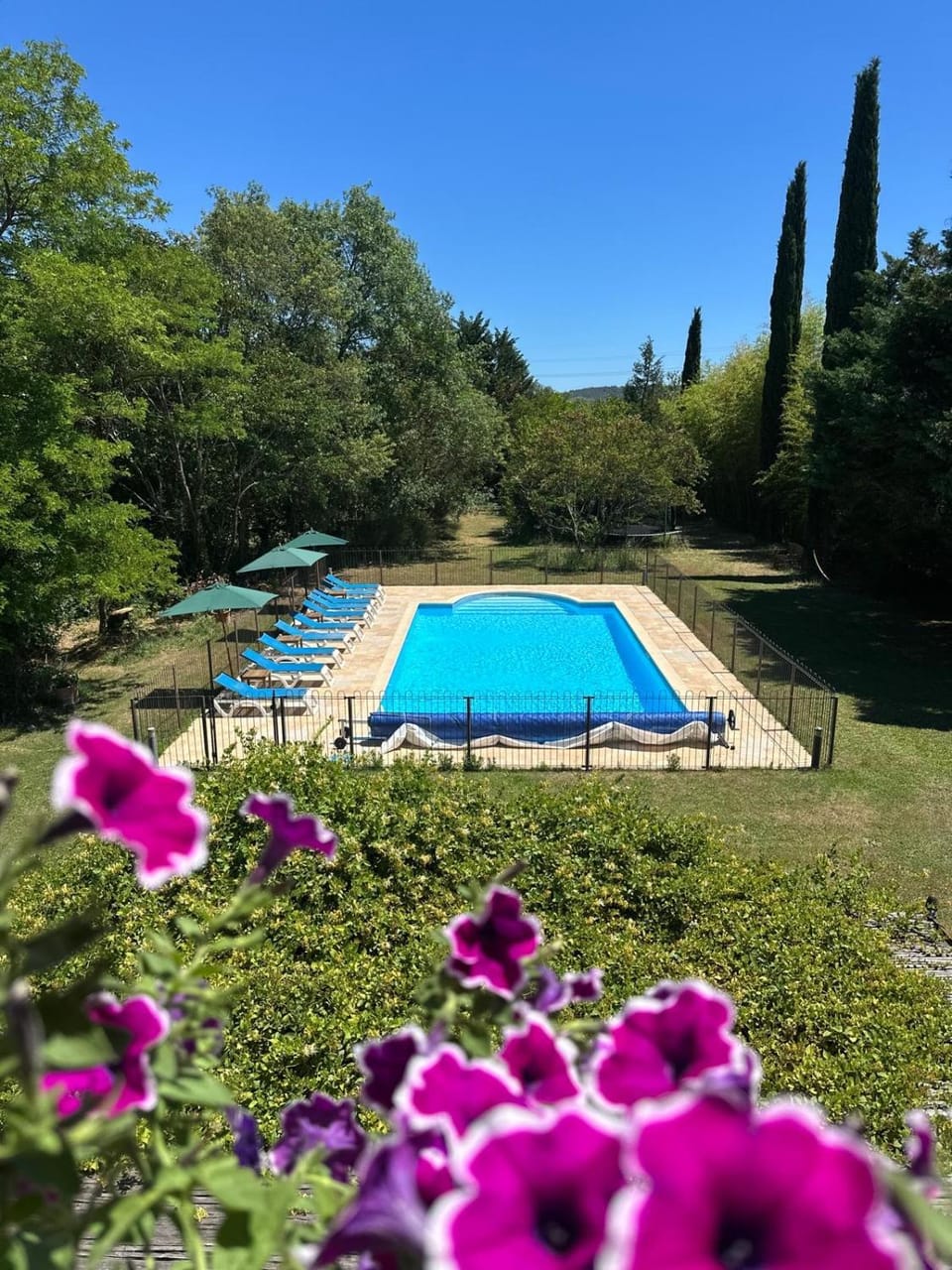Garden, Swimming pool