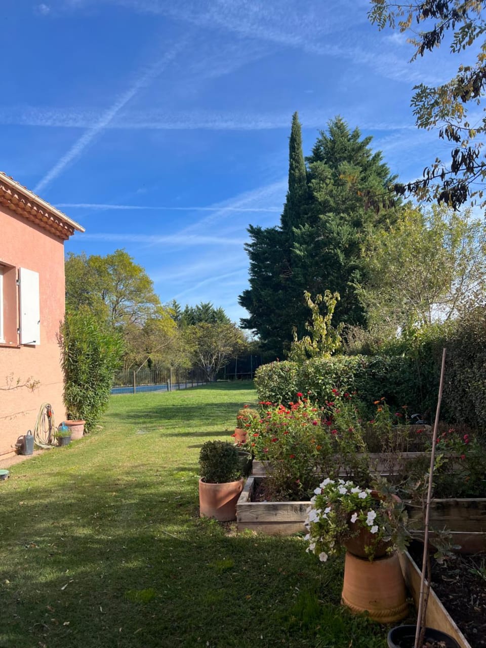 Garden view