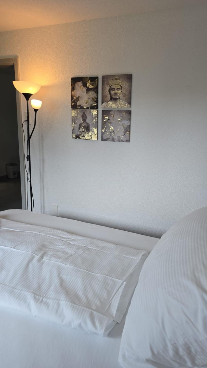 Zurich Rooms near Oerlikon and Airport Apartment in Zurich City