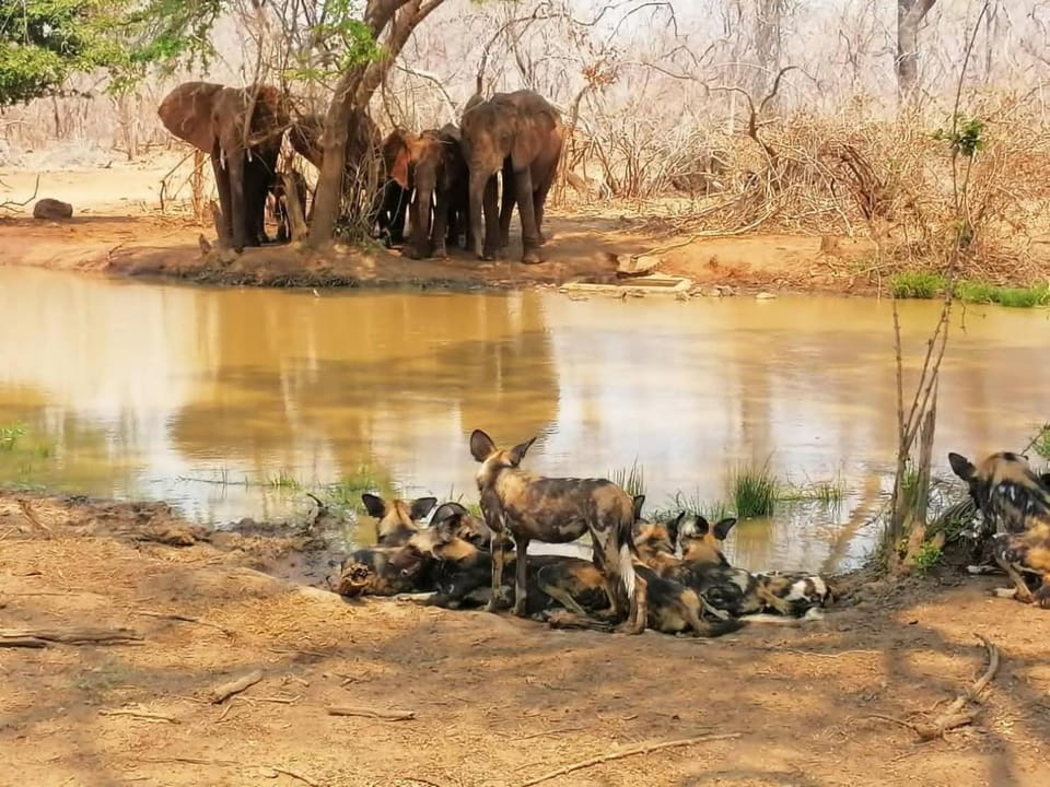 Marketmaxzambia Farm Stay in Zimbabwe