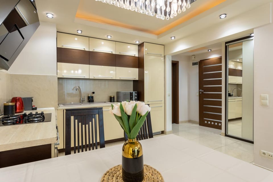 TV and multimedia, Kitchen or kitchenette, minibar, oven, pet friendly, stove