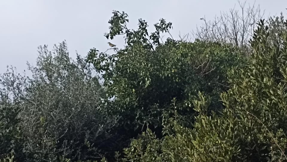 ANCENT NORBA S HOUSE casa dell' Antica Norba big hause Vacation rental in Lazio