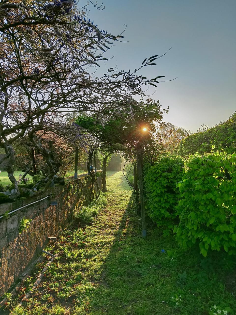 Garden view