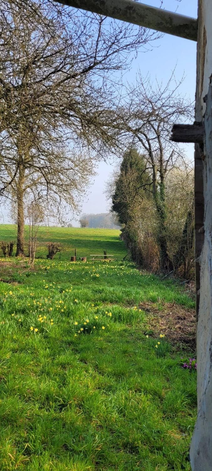 Garden, Garden view