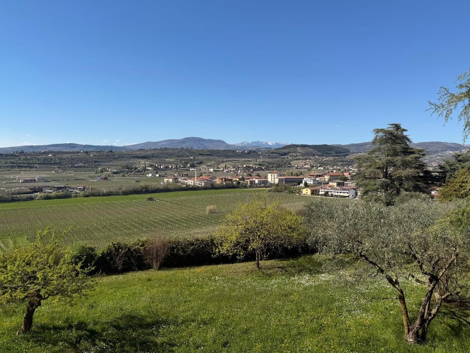 Spring, Day, Natural landscape, Mountain view