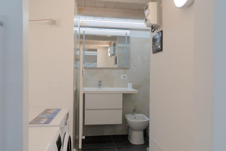 Bathroom, bidet, laundry, laundry