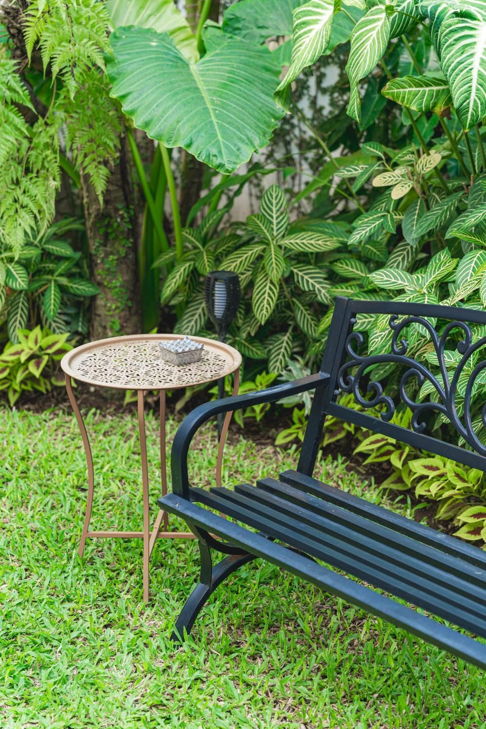 Garden view