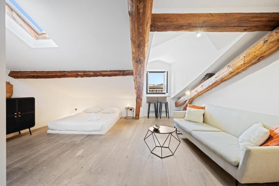 Stunning view and Air Conditionning Apartment in Nice