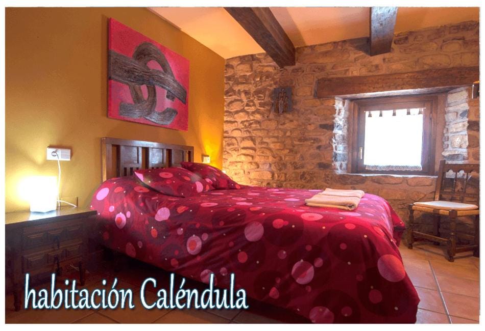 Casa rural Los Lirios, Pirineo Aragonés House in Aragon