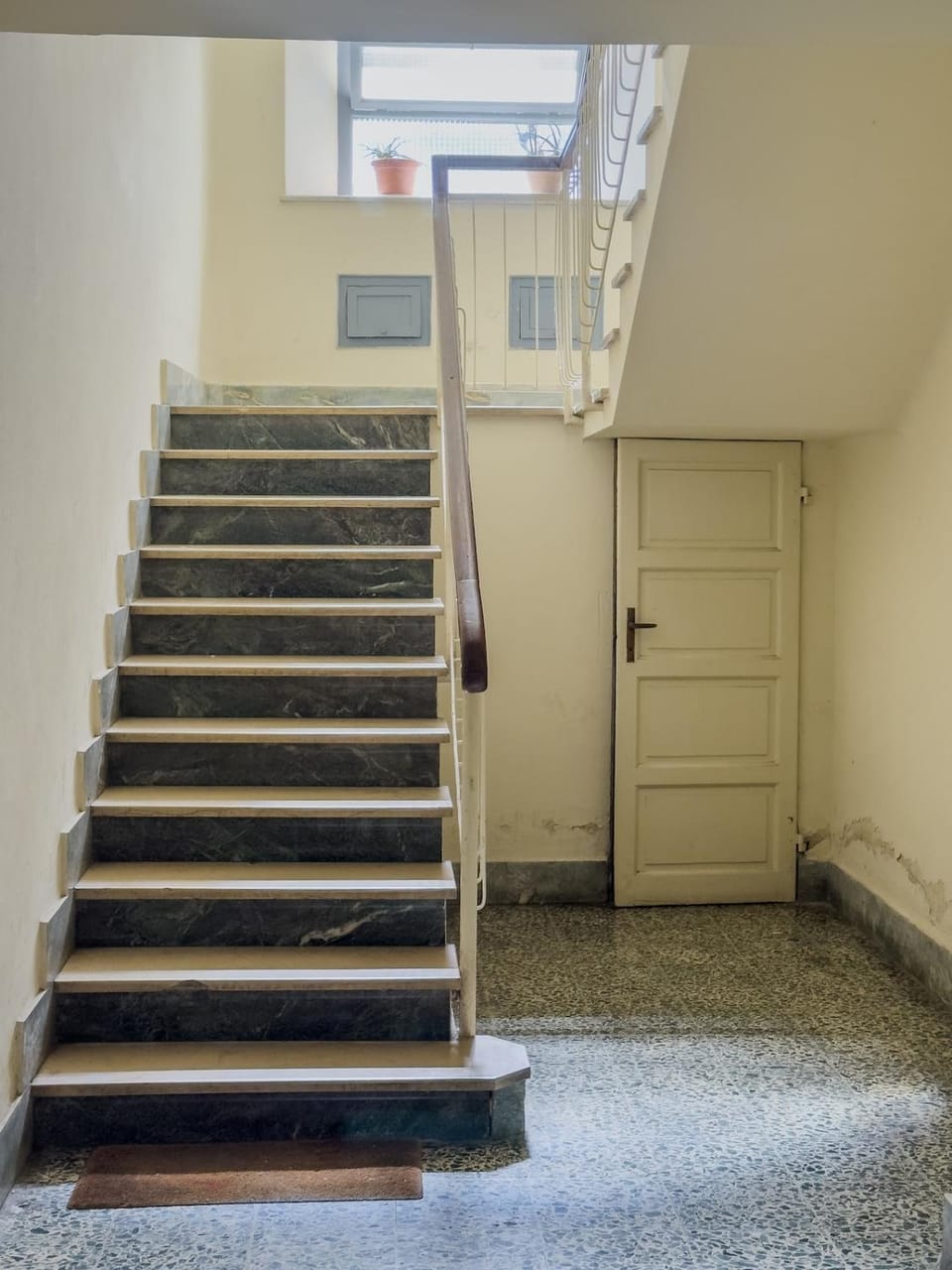 Windrose The Dog Apartment in Pisa