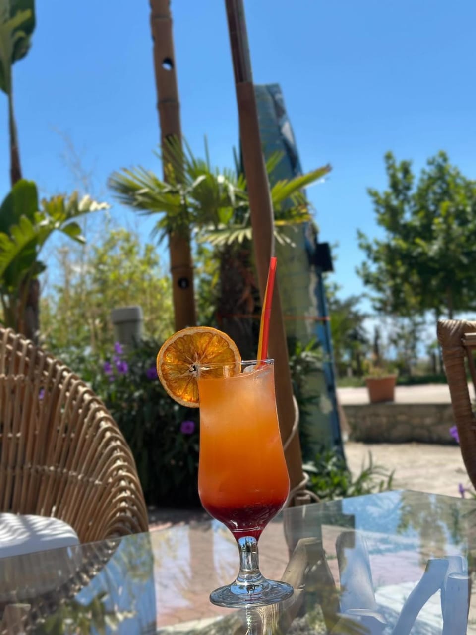 Day, Food and drinks, Food, Drinks