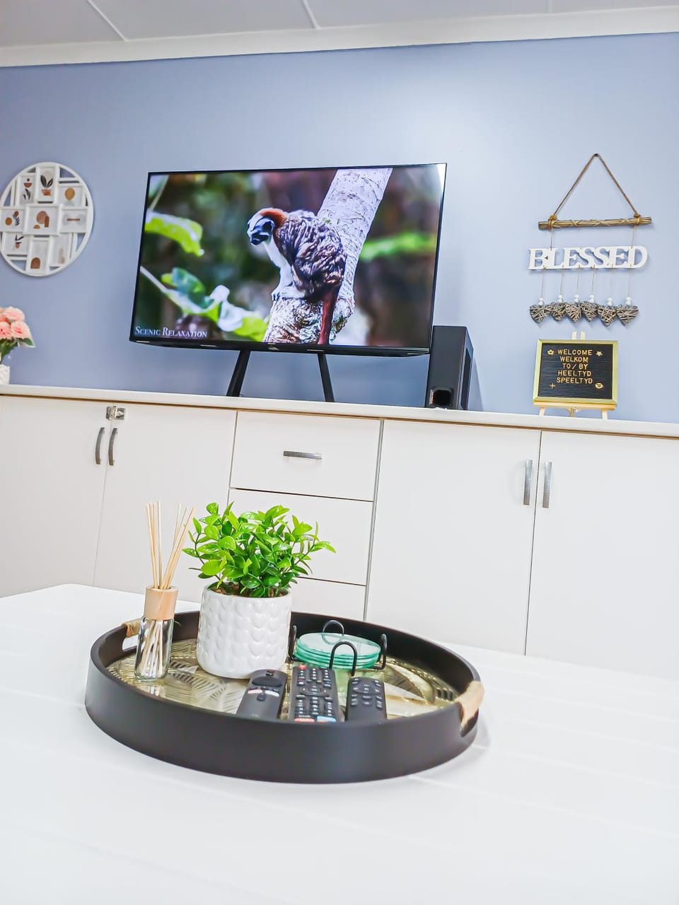 TV and multimedia