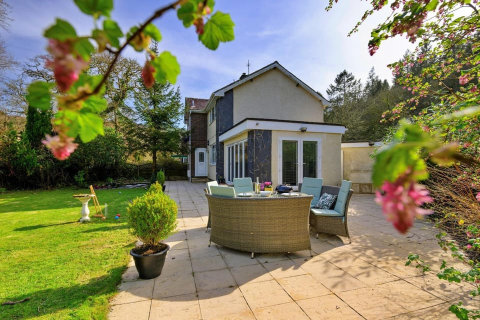 Patio, Garden, Garden view