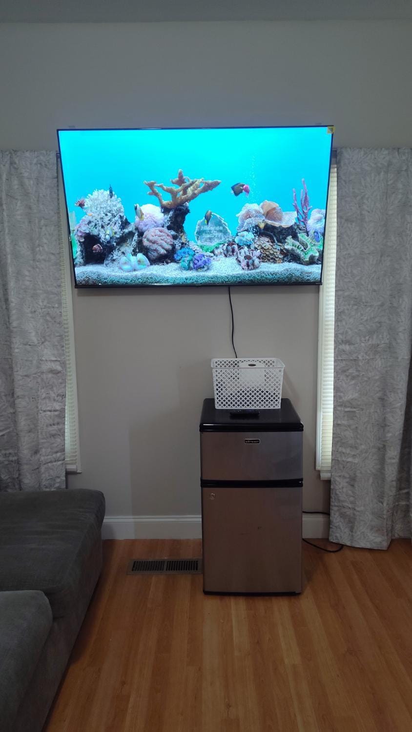 TV and multimedia