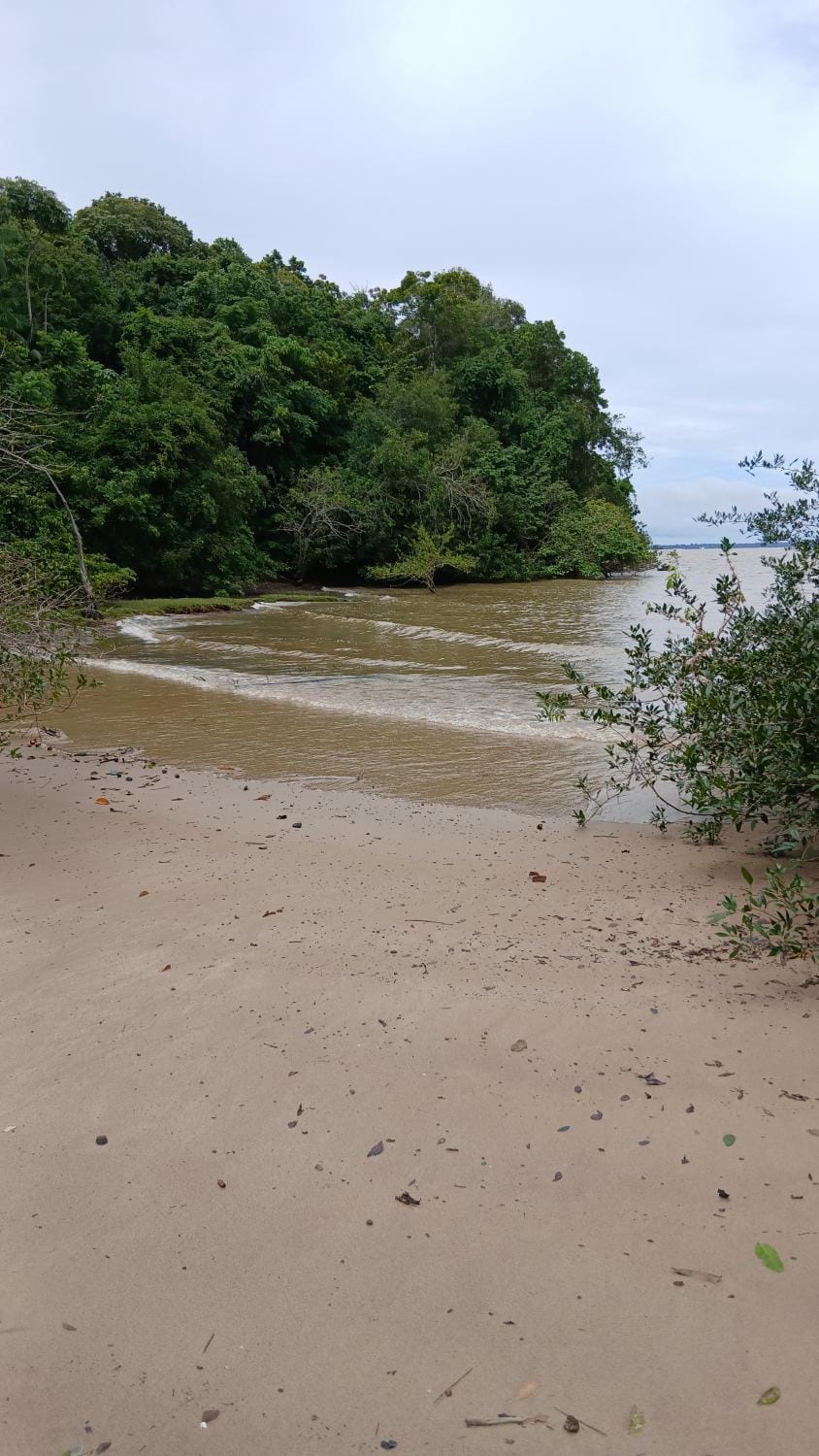 Choupana Siriá Nature lodge in State of Maranhão, Brazil