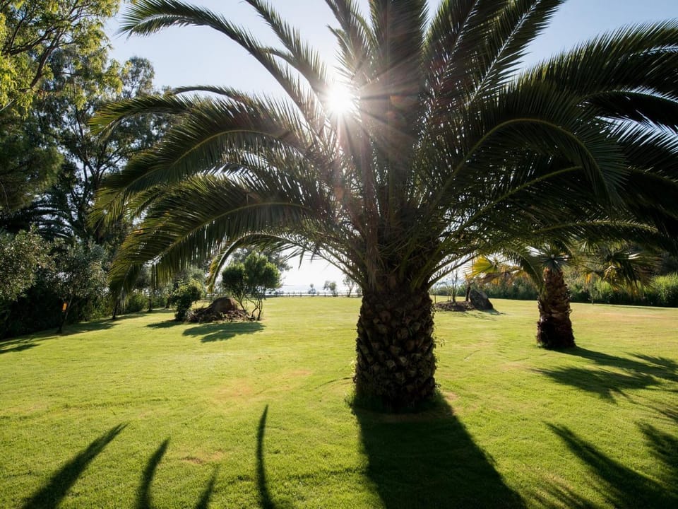 Spring, Day, Natural landscape, Garden, Garden view, Sea view