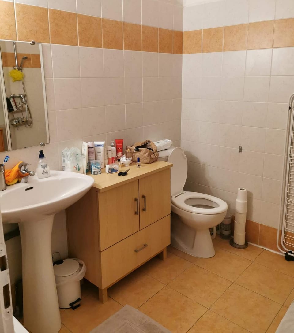 Appartement T2 centre-ville Apartment in Corsica