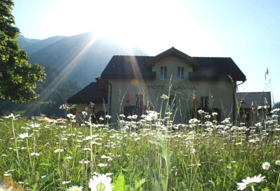 Hotel Garni Ladina Bed and Breakfast in Canton of Grisons