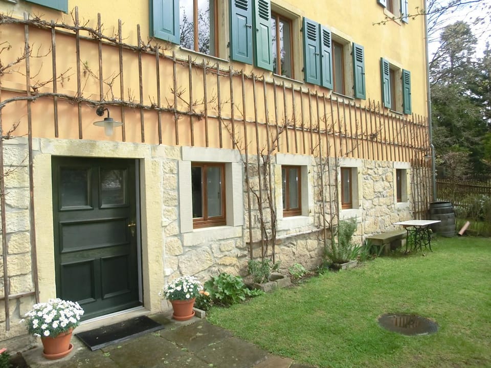 Garden view