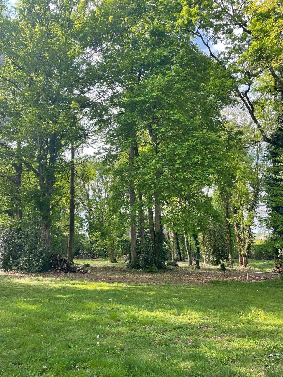 Natural landscape, Garden, Garden view
