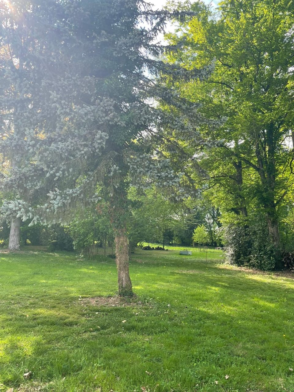 Natural landscape, Garden, Garden view