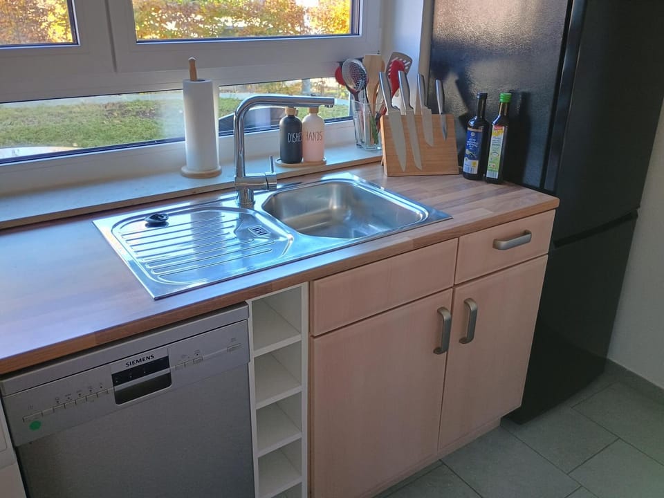Kitchen or kitchenette, dishwasher