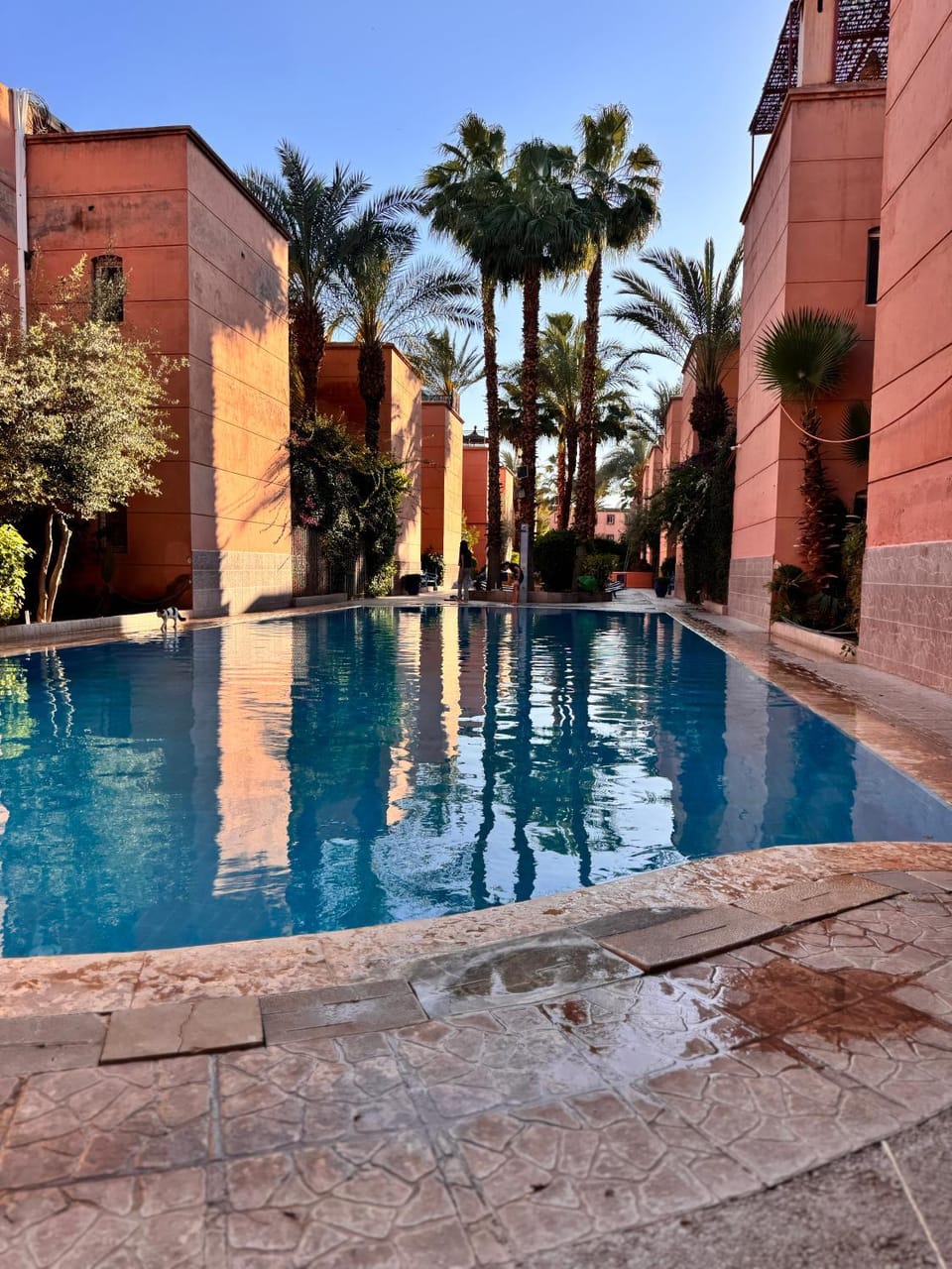 Pool view, Swimming pool