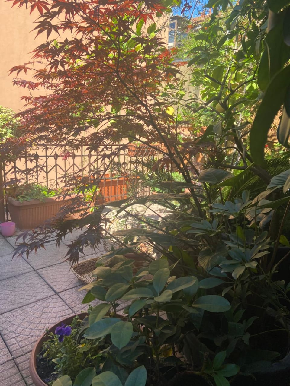 La Terrazza Vacation rental in Milan
