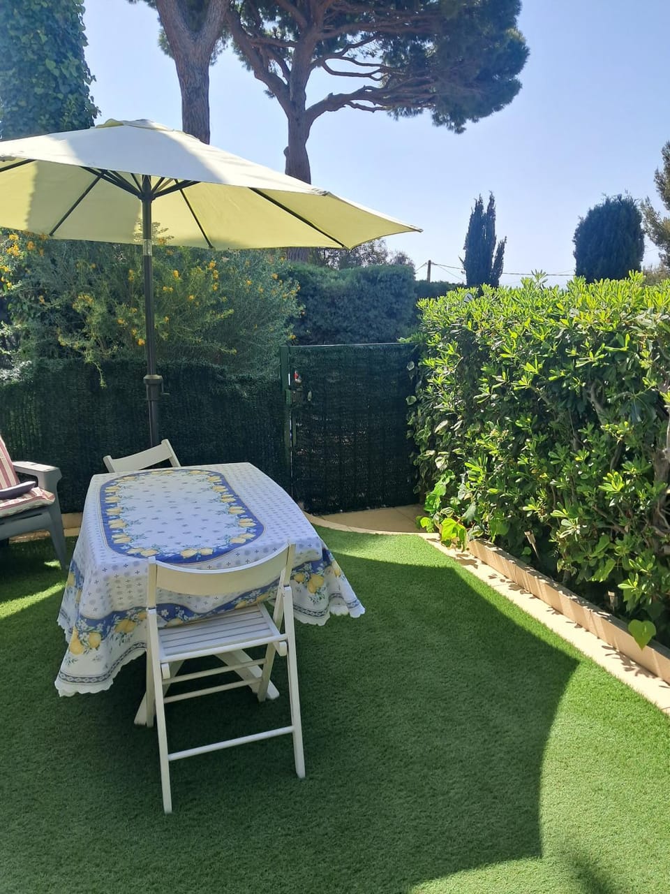 Patio, Garden, Dining area, sunbed