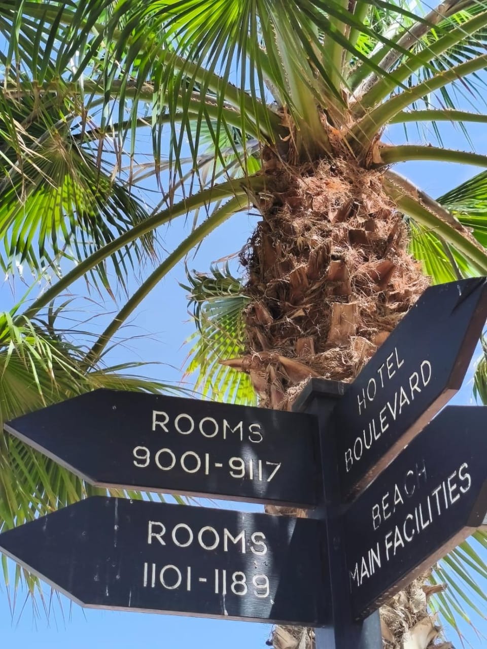 HostySpot - Melia Dunas 1 Apartment in Sal, Cabo Verde