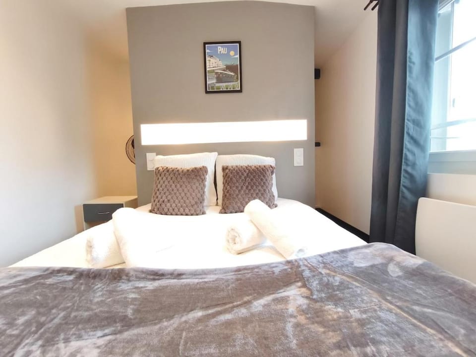 Cozy 2 bedroom apartment Apartment in Pau