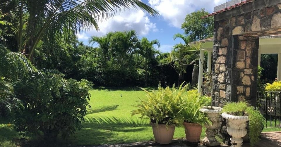 Garden view