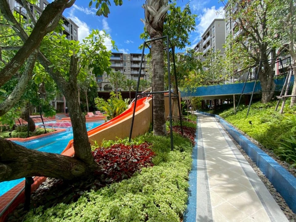 Pool view, Swimming pool