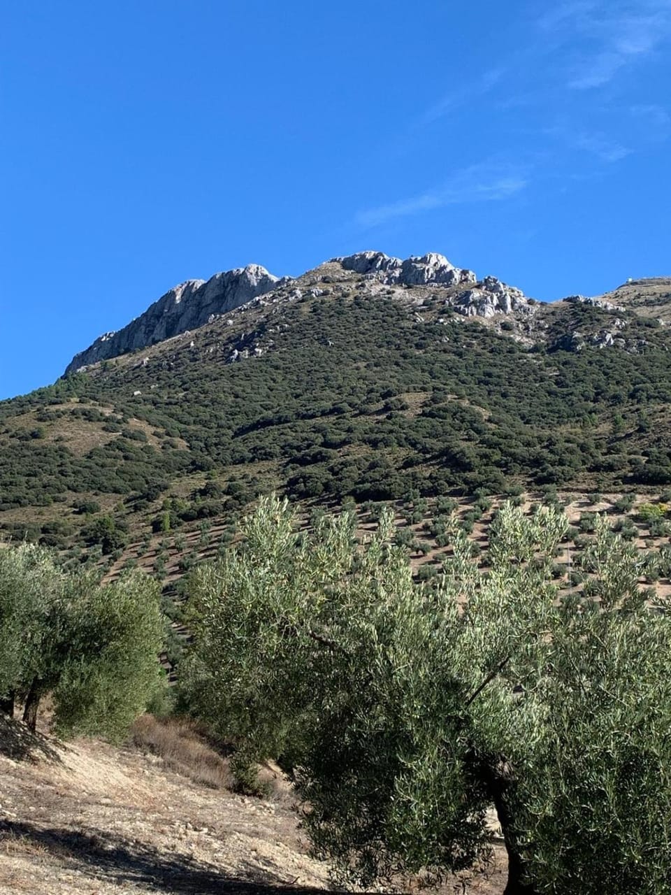 Natural landscape