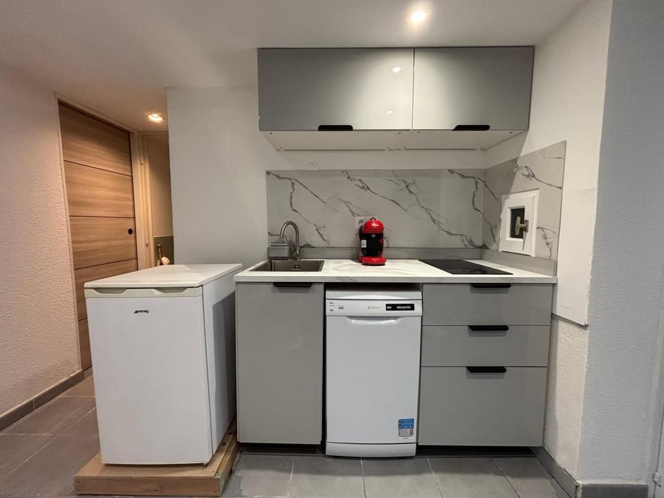Kitchen or kitchenette, dishwasher