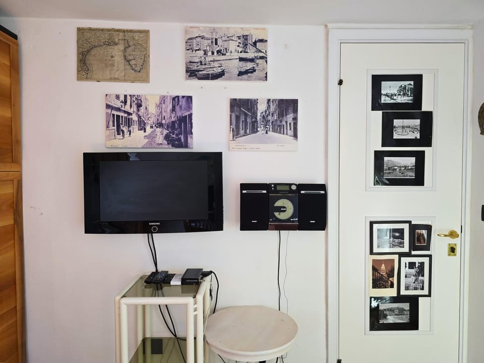 TV and multimedia