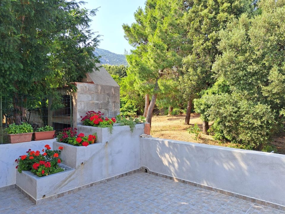 Garden view, Inner courtyard view
