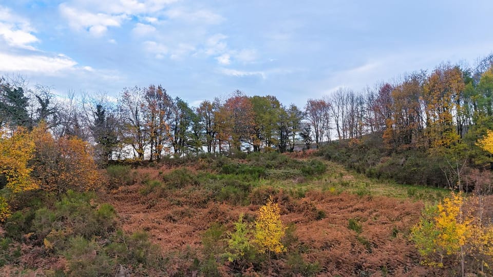 Dôme Authentique - Les Dômes du Maupuy Luxury tent in Nouvelle-Aquitaine