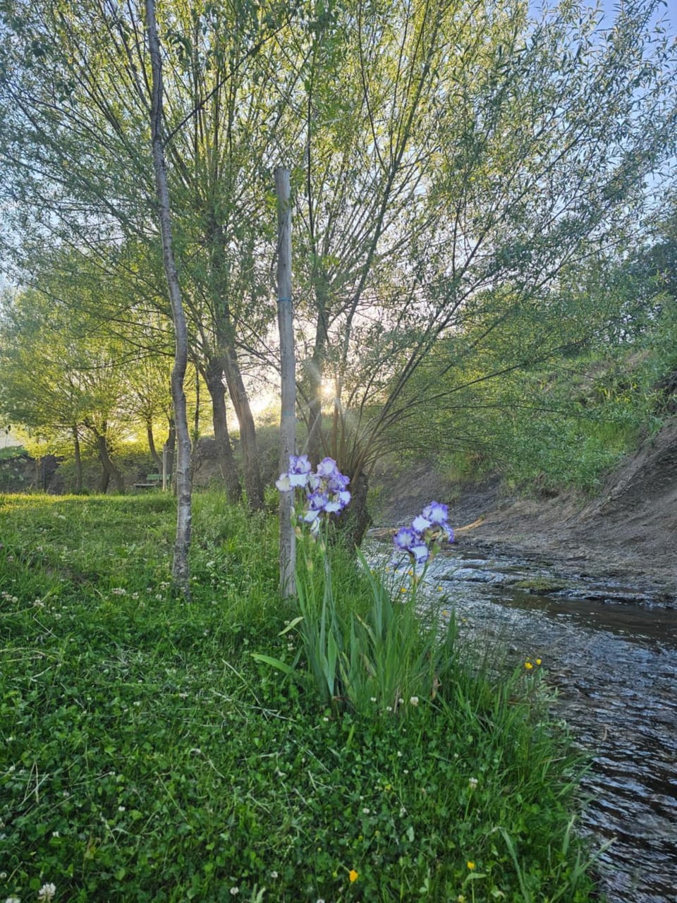 Spring, Natural landscape, Lake view, River view