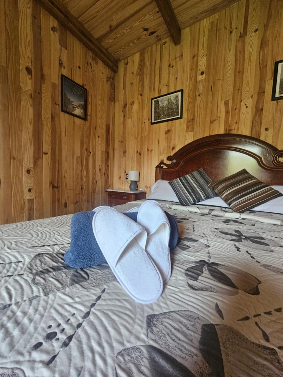 Bed, Photo of the whole room