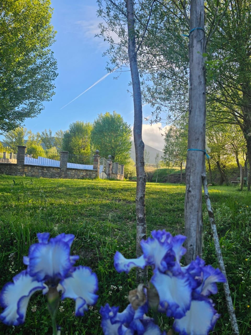 Spring, Natural landscape, Garden